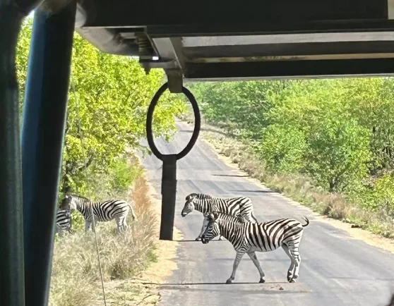 Safari Avontuur